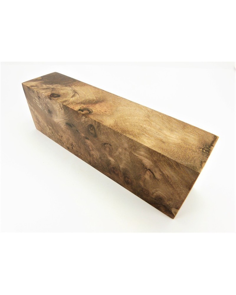 Loupe de Noyer stabilisé en bloc