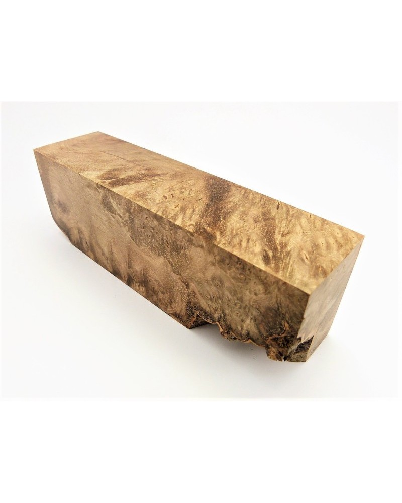 Loupe de Noyer stabilisé en bloc