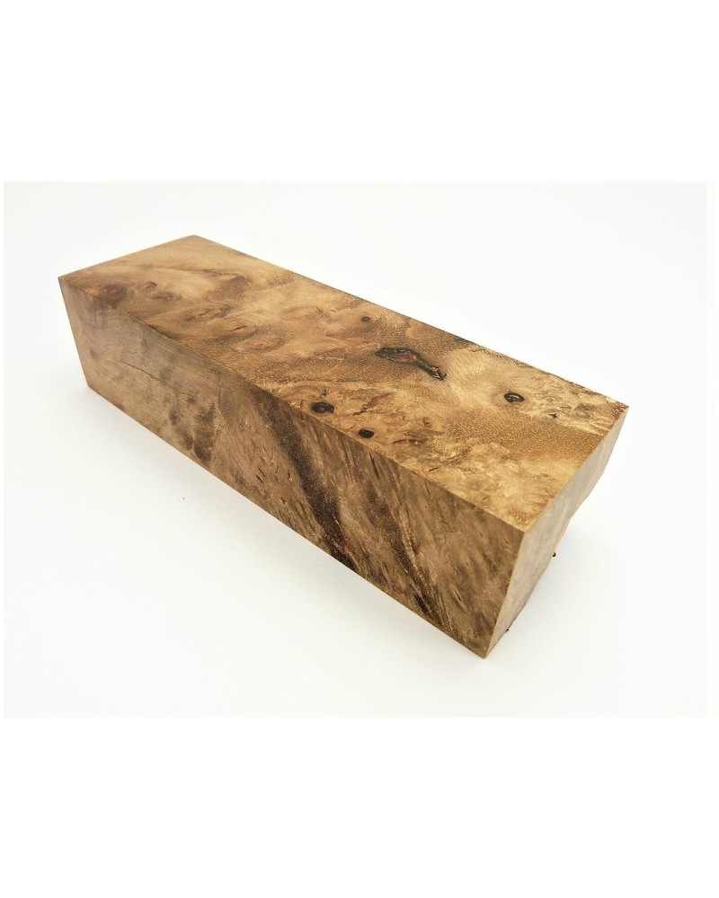 Loupe de Noyer stabilisé en bloc