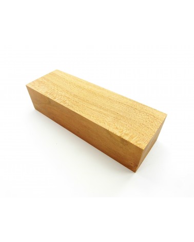 Abricotier en bloc