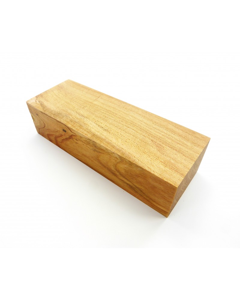 Abricotier en bloc