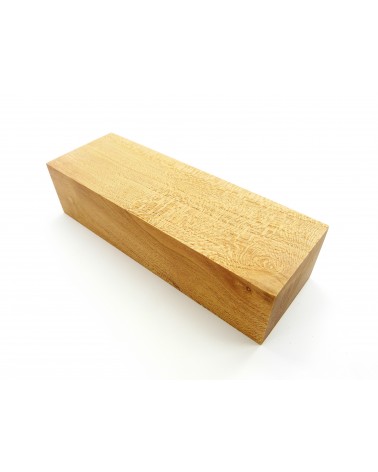 Abricotier en bloc