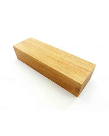 Abricotier en bloc